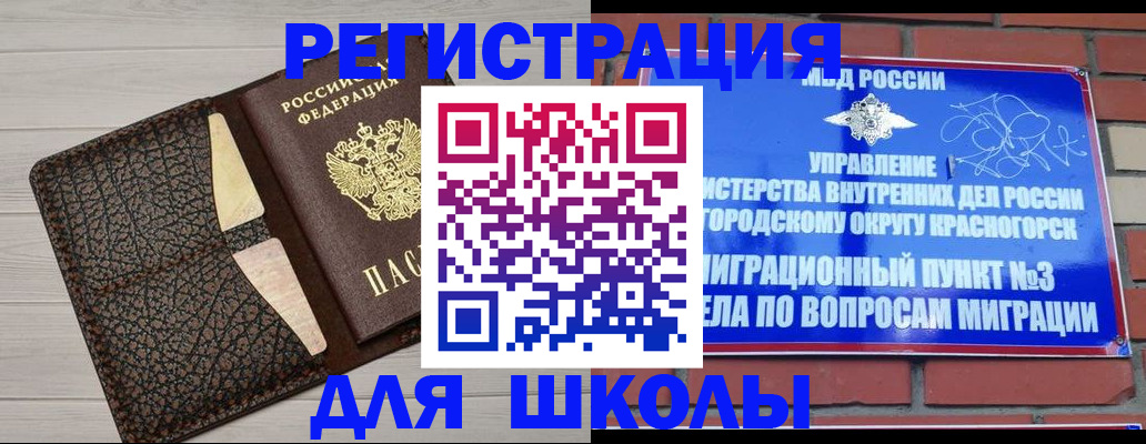 прописка в Ермолино